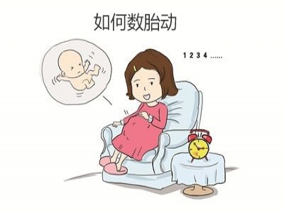 胎兒好不好，胎動(dòng)全知道，數(shù)胎動(dòng)的重要性